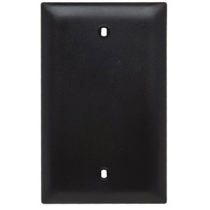 Pass & Seymour&reg; TP13BK