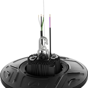 Lithonia Lighting® CPRB ALO13 UVOLT SWW9 80CRI DBL