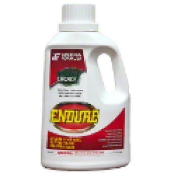 American Formula 250330