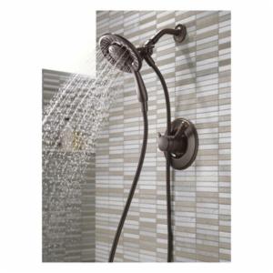 Delta® T17293-RB-I