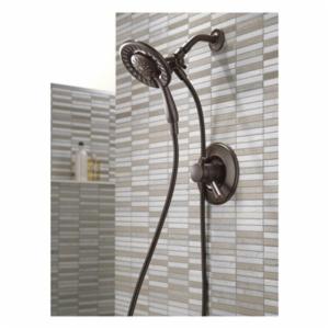 Delta® T17293-RB-I
