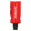 DIABLO&reg; DHS1375