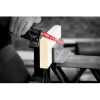 DIABLO® DS1203CP