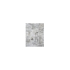 Delta® 50560-SS-PR