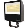 Lithonia Lighting® ESXF4 ALO SWW2 YS DDB M2